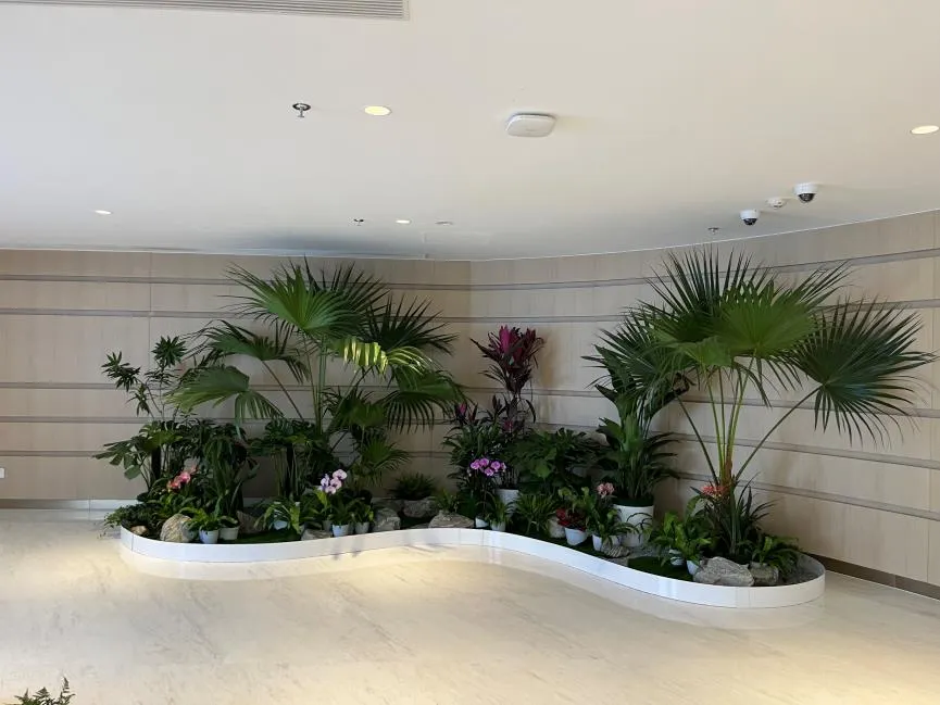 宁波奉化植物租赁专业，开启绿色生活新篇章